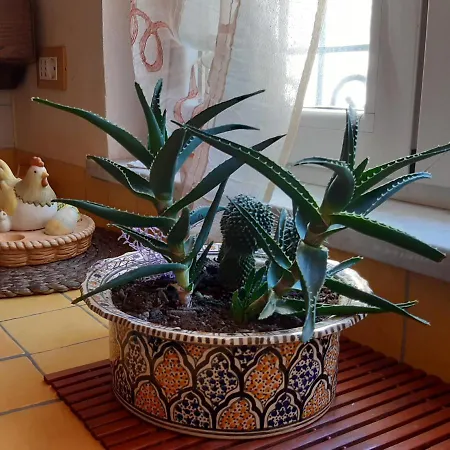 Villino San Martino 350m Dal Mare With Covered Parking Вілла В'яреджо