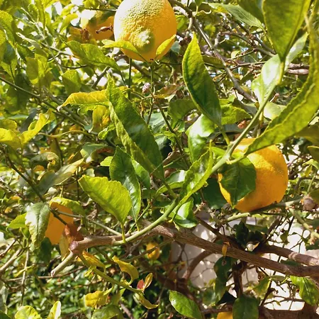 Villa Villino San Martino 350m Dal Mare With Covered Parking