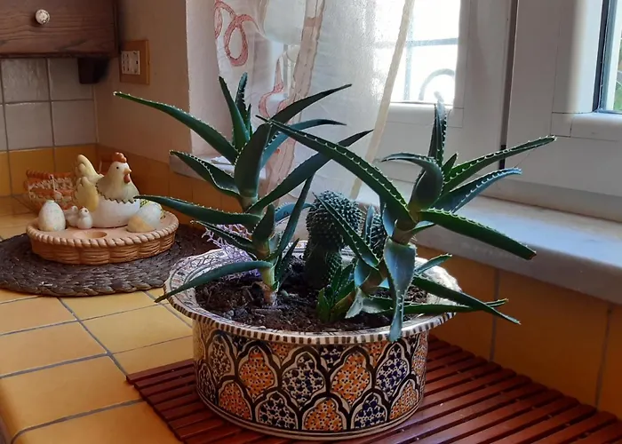 Villino San Martino 빌라 비아레지오